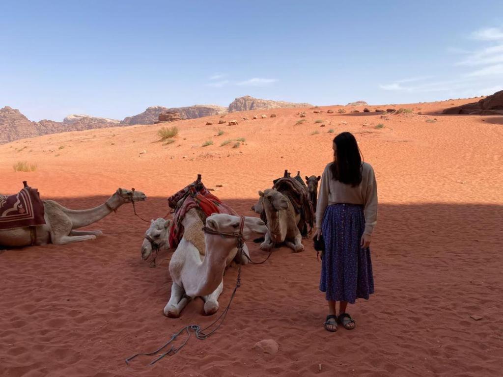 Mojo Camp, Wadi Rum Esterno foto
