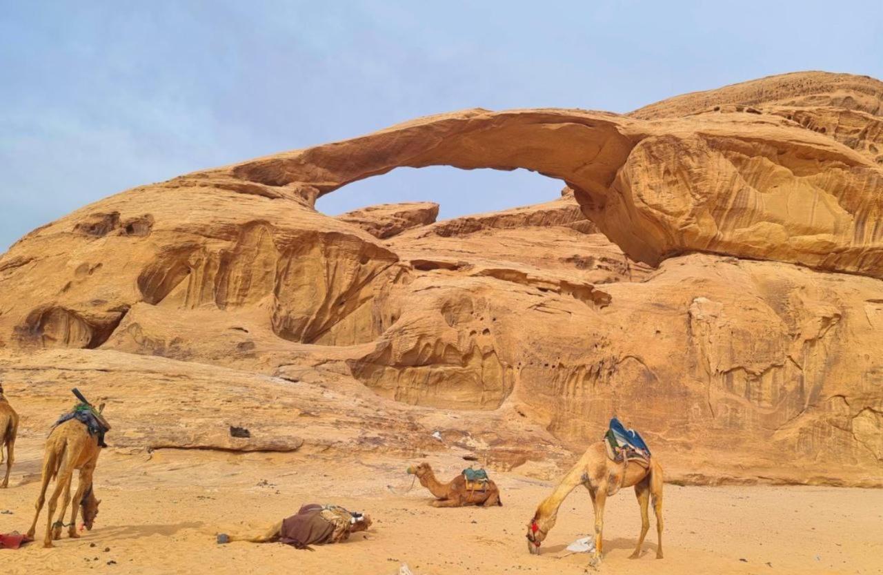 Mojo Camp, Wadi Rum Esterno foto