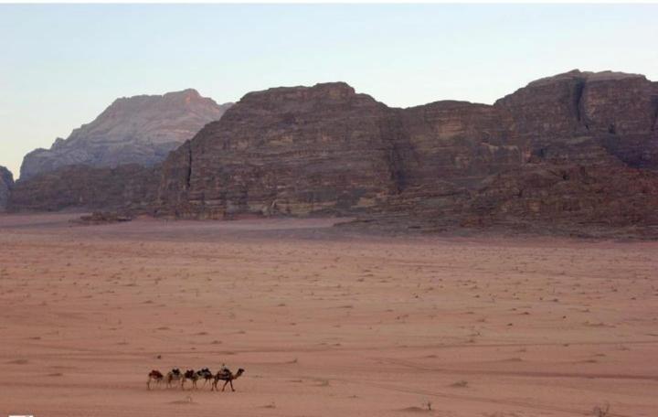 Mojo Camp, Wadi Rum Esterno foto