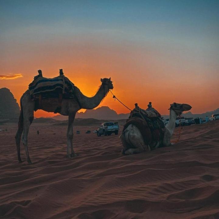 Mojo Camp, Wadi Rum Esterno foto